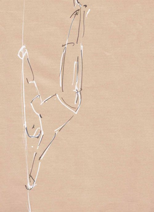 Acrobate 2<br><small></small>