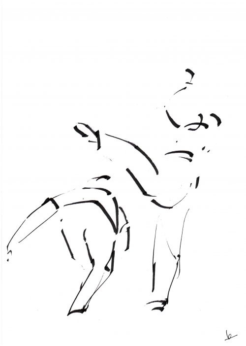 Capoeira 13<br><small></small>