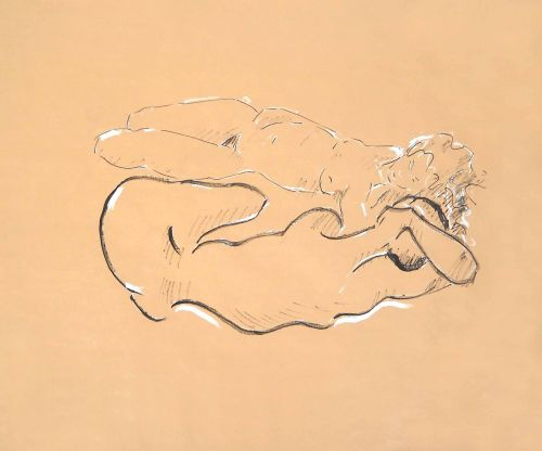 Tourterelles<br><small></small>
