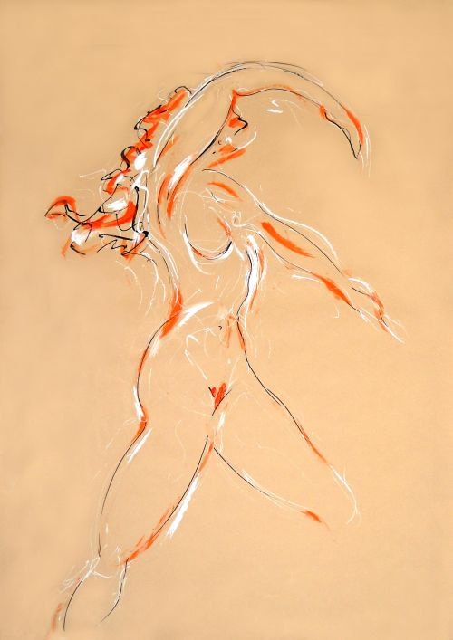 Coline 1<br><small></small>
